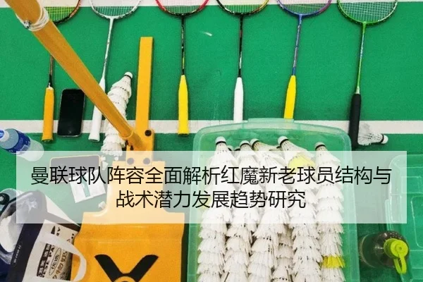 曼联球队阵容全面解析红魔新老球员结构与战术潜力发展趋势研究