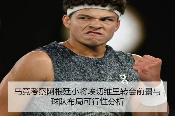 ma-jing-kao-cha-a-gen-ting-xiao-jiang-ai-qie-wei-li-zhuan-hui-qian-jing-yu-qiu-dui-bu-ju-ke-xing-xing-fen-xi-2-446.jpg